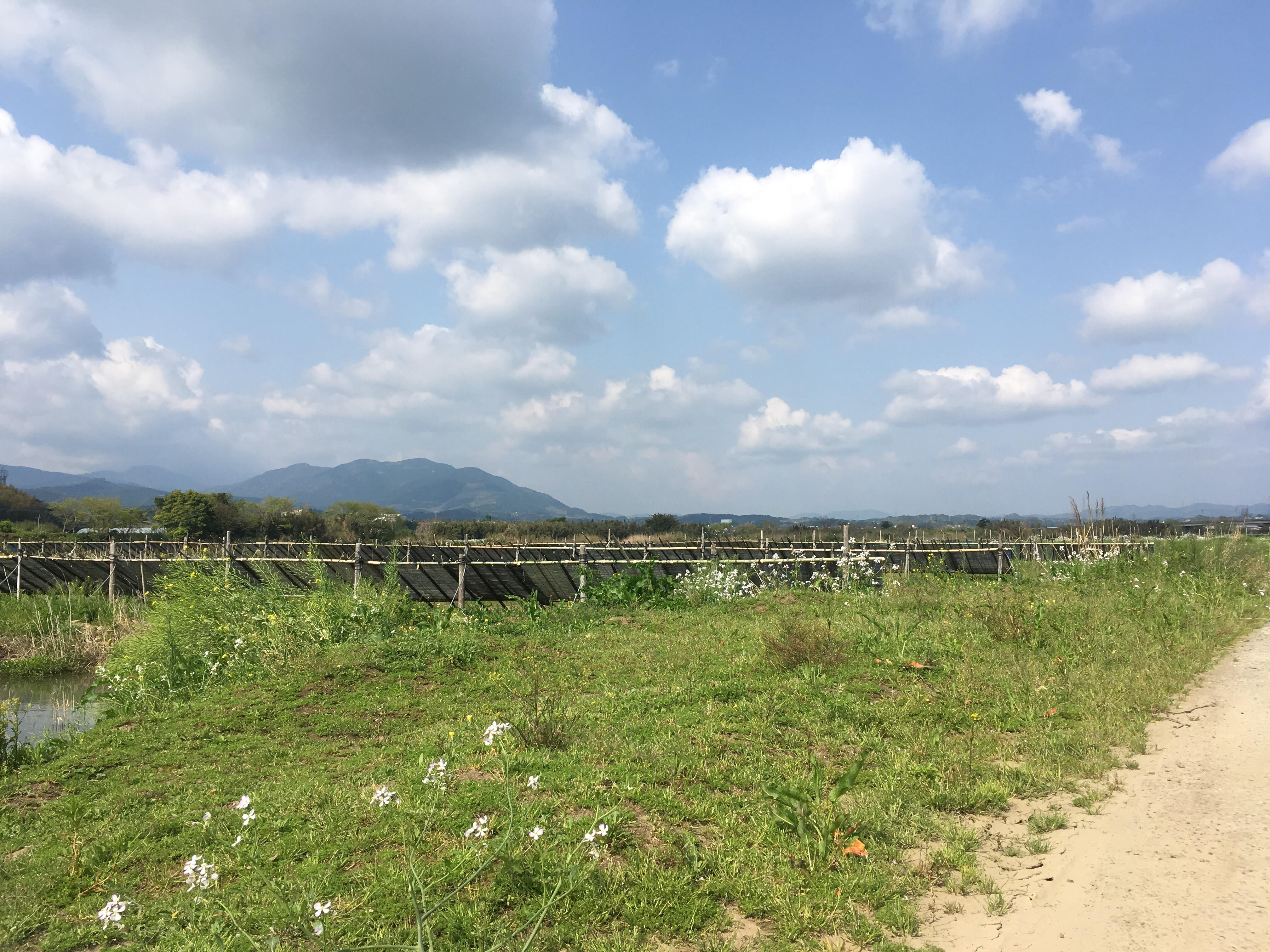 なつ｜宮崎風俗求人情報